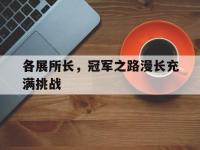 B体育体育电竞-各展所长，冠军之路漫长充满挑战的简单介绍