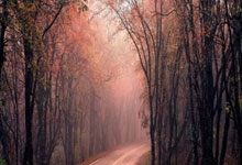 B体育体育中国官网-切尔西防线破绽百出，难挽败局