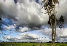 B体育体育中国官网-切尔西防线破绽百出，难挽败局