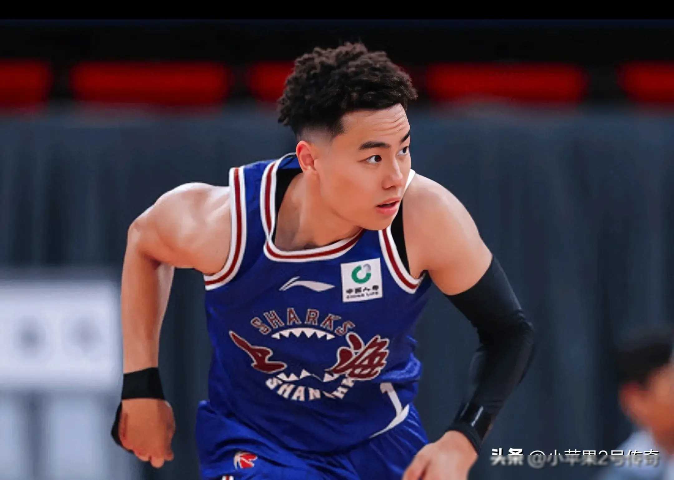 智利男篮再战胜利,走向胜利巅峰的简单介绍 智利男篮再战胜利,走向胜利巅峰的简单介绍