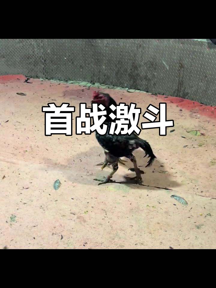 场上对决激烈难分胜负，精彩纷呈情景